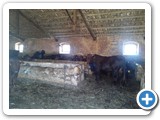IMG_20150531_104907526