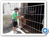 IMG_20150531_105025283